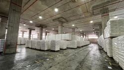Thyssen Haniel Logistics Centre (D16), Warehouse #578705911